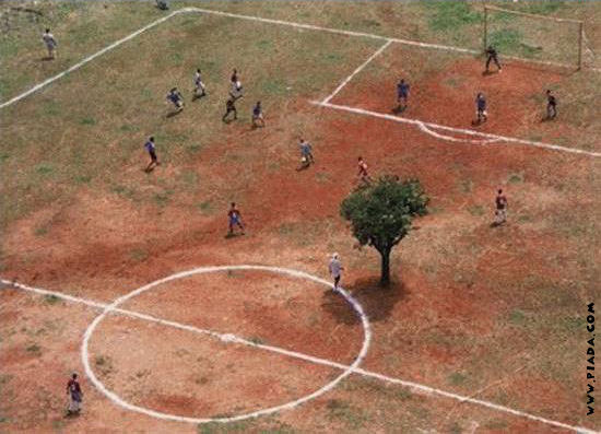 Futebol arborizado